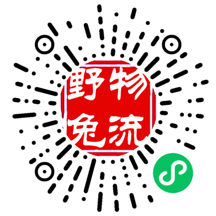手機(jī)官網(wǎng)